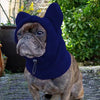 Un perro color cervatillo vistiendo un gorro de lana azul marino con orejas grandes al aire libre.