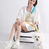 A woman is sitting on a chair with a white shirt and shorts, holding an adjustable hands-free dog leash.