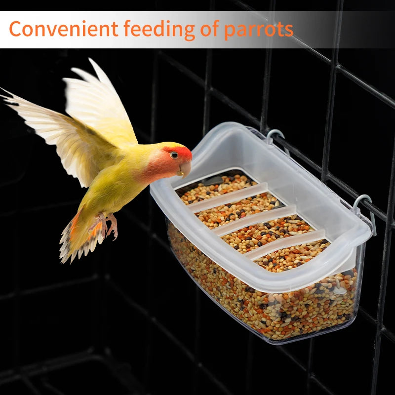 A clear plastic feeder containing seeds is hanging in front of a parrot.