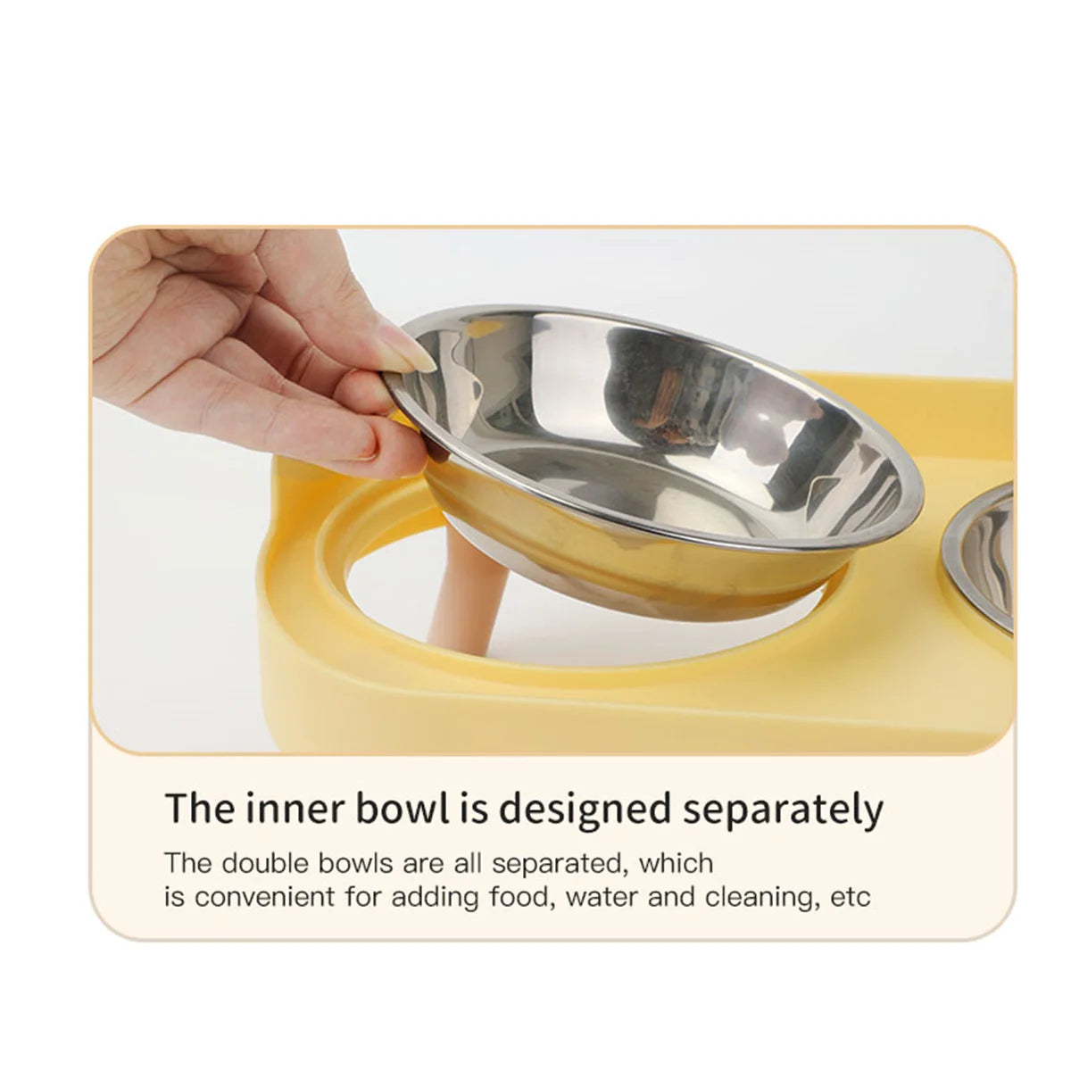 Colorful Double Dog Bowl Set with Stainless Steel and Plastic Base