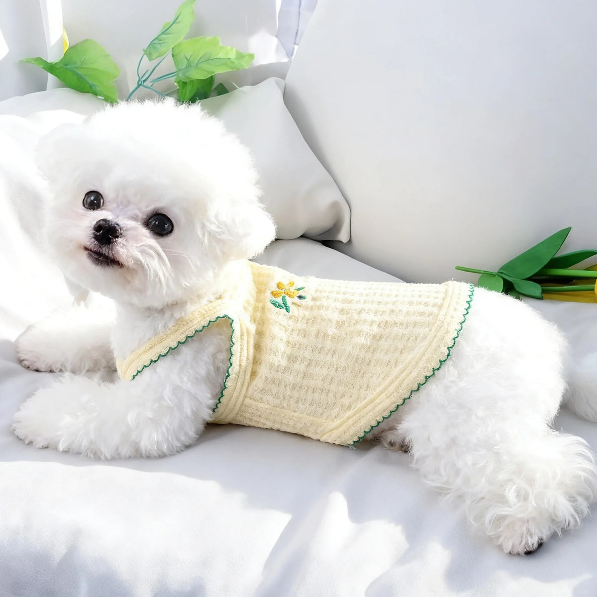 Un perro blanco peludo con un collar de peluche amarillo claro y fino para verano, acostado en una cama blanca.
