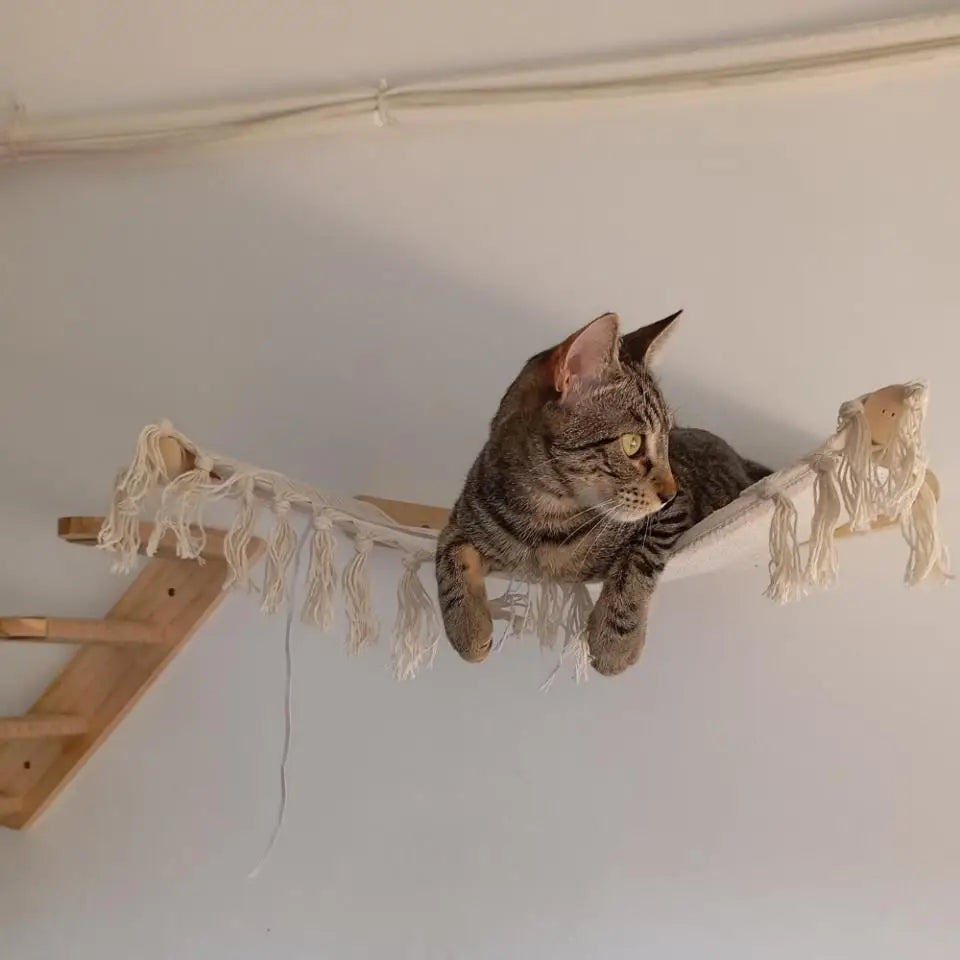 Wall-Mounted Cat Hammock and Climbing Stairs with Scratcher