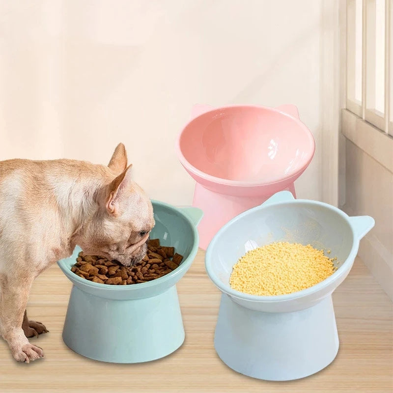 A light brown dog is eating dry food from a light blue pet feeding bowl.