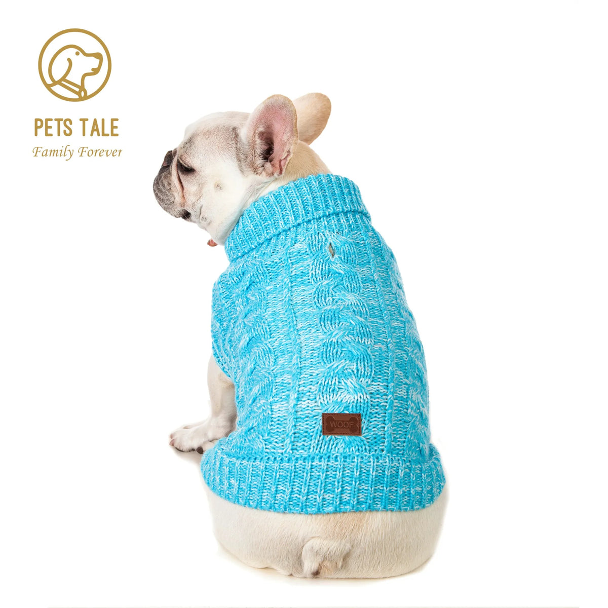 A light blue knitted sweater for a dog, worn by a small dog breed.