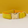 Personalisiertes Halsband, Geschirr & Leine Set mit abnehmbarem Fliegenknoten