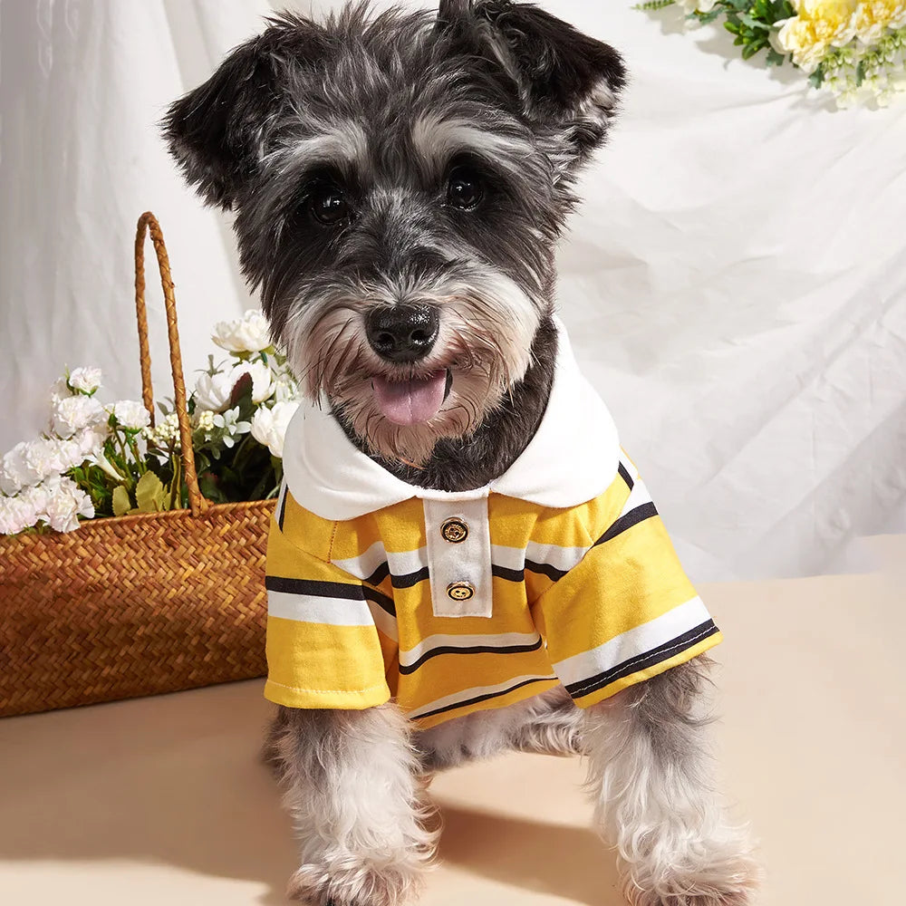 Classic Stripe Polo Shirt for Small Dogs