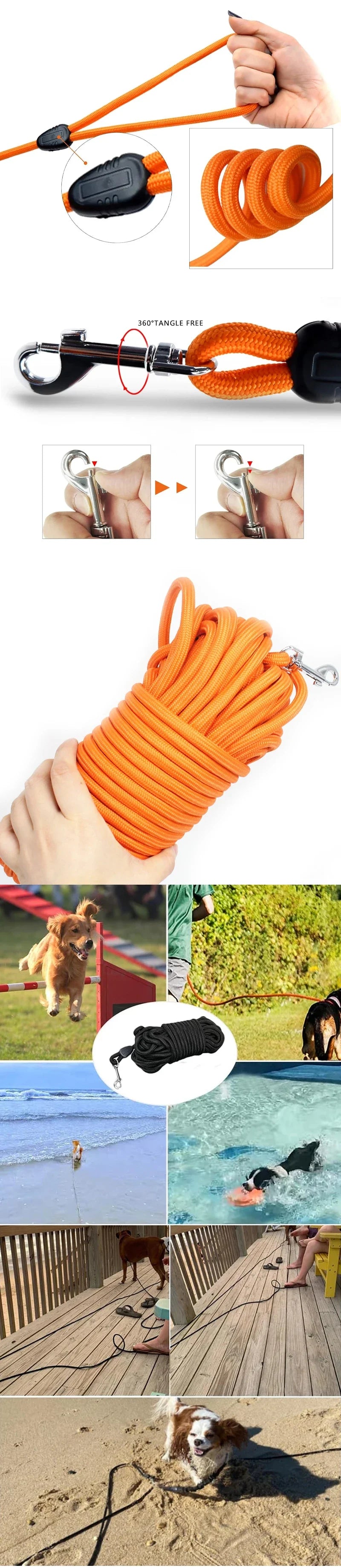 Robuste Nylon-Hundeleine für Rückruf und Training