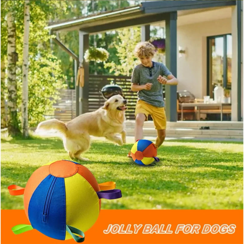 A golden dog is playing with a yellow and blue inflatable ball in a grassy yard.