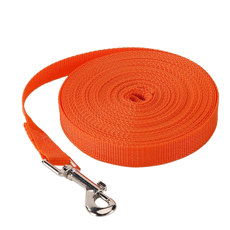 Laisse en Nylon Extensible pour Entraînement en Plein Air