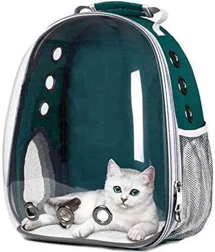 Mochila transportadora transparente para mascotas con diseño verde y gris, mostrando un gatito blanco dentro.