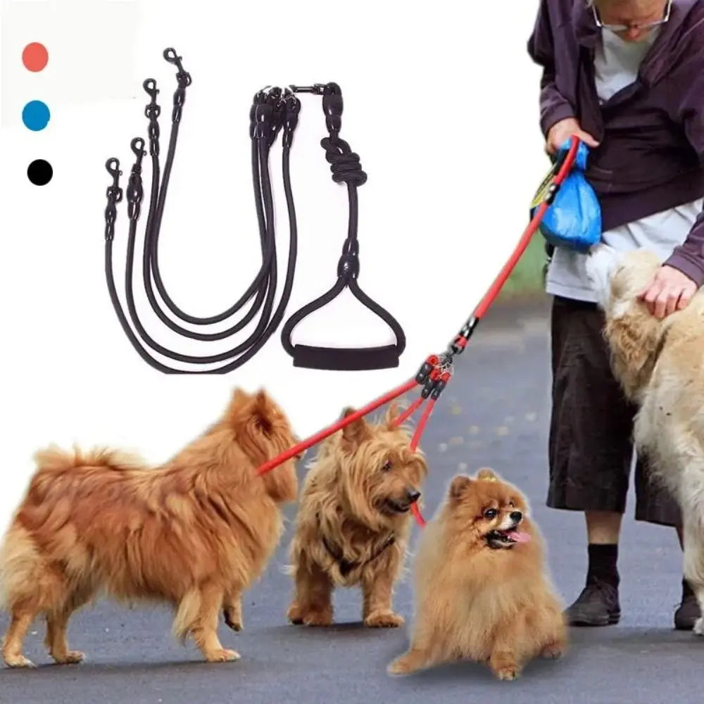 A set of black dual dog leash couplers and a red leash being used to walk two dogs.