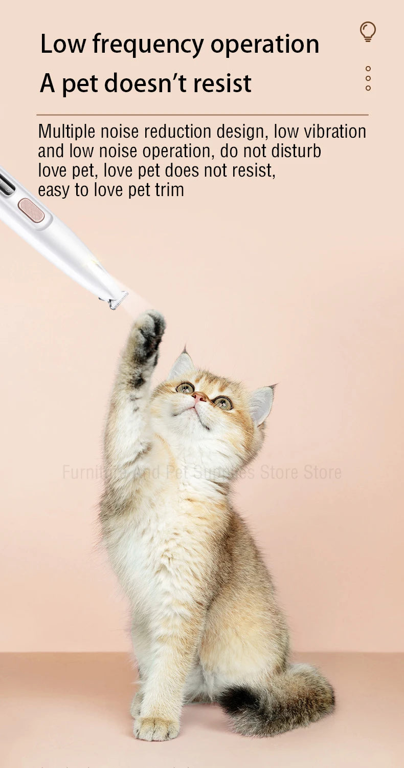 A fluffy ginger cat looks up while a grooming trimmer is being used on its fur.