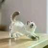 Transparent Pet Hair Keepsake Charm for Keys
