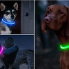 Rechargeable LED Dog Collar with USB Charging
