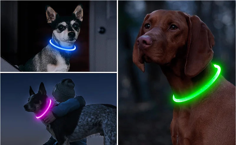 Rechargeable LED Dog Collar with USB Charging