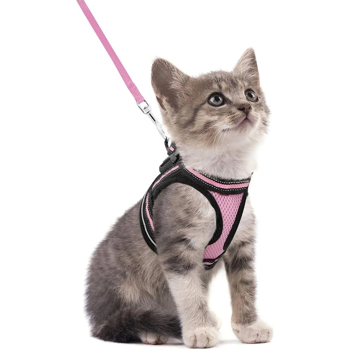 Escape-Proof Cat Harness and Leash Set with Reflective Strips