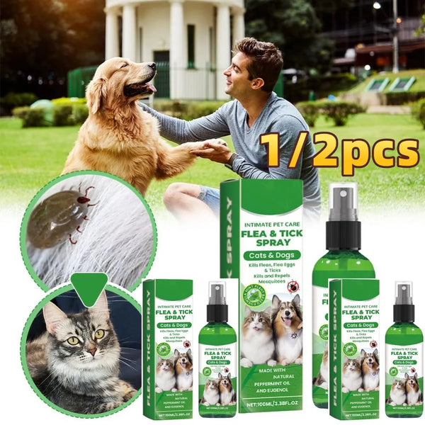 A man is applying a flea and tick spray to a dog while a cat watches, with the product bottle visible.