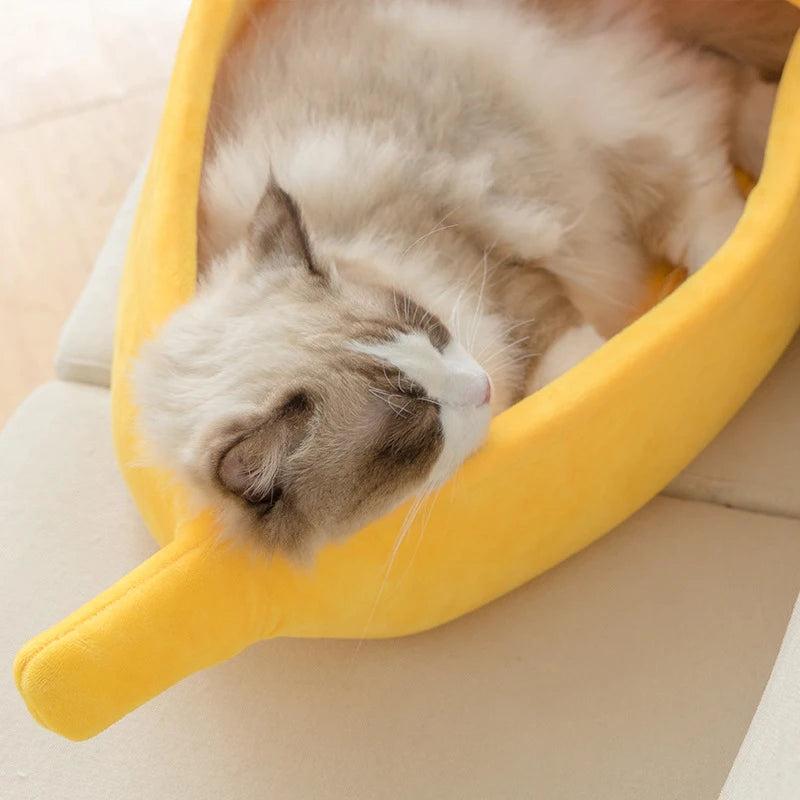Un chaton gris et blanc duveteux dort dans un lit pour animaux en forme de banane jaune.