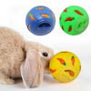 Balle Puzzle Interactif à Débit Lent pour Petits Animaux
