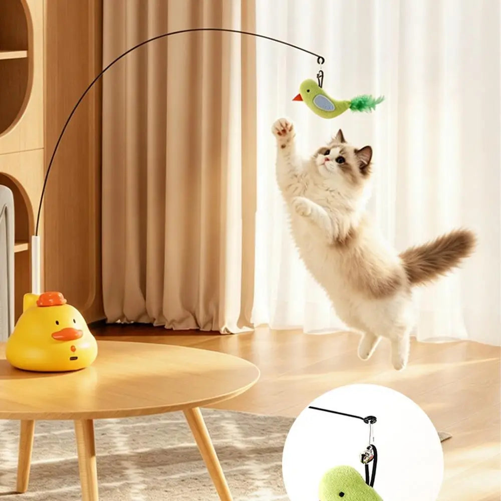 A fluffy cat is interacting with a feather teaser toy suspended by a long stick in a bright room.