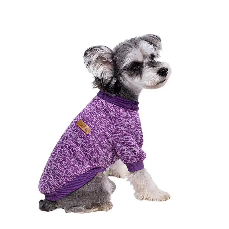 A small, gray and white dog wearing a purple cozy winter jacket.