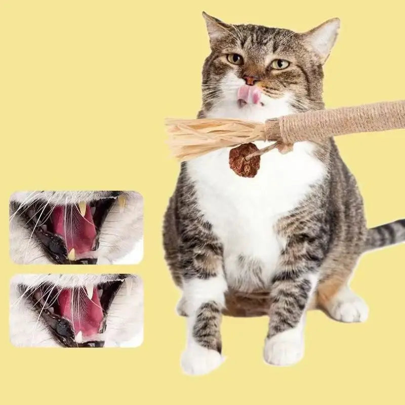 Natural Wooden Cat Teething Sticks with Sisal Rope