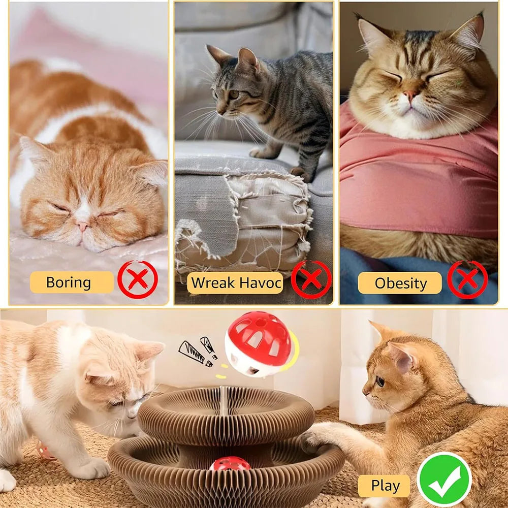 Interactive accordion cat scratcher with a toy ball used for play.