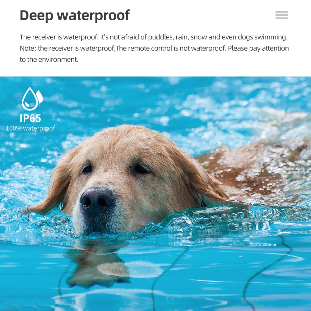 A golden retriever dog is swimming in blue water, looking towards the camera.