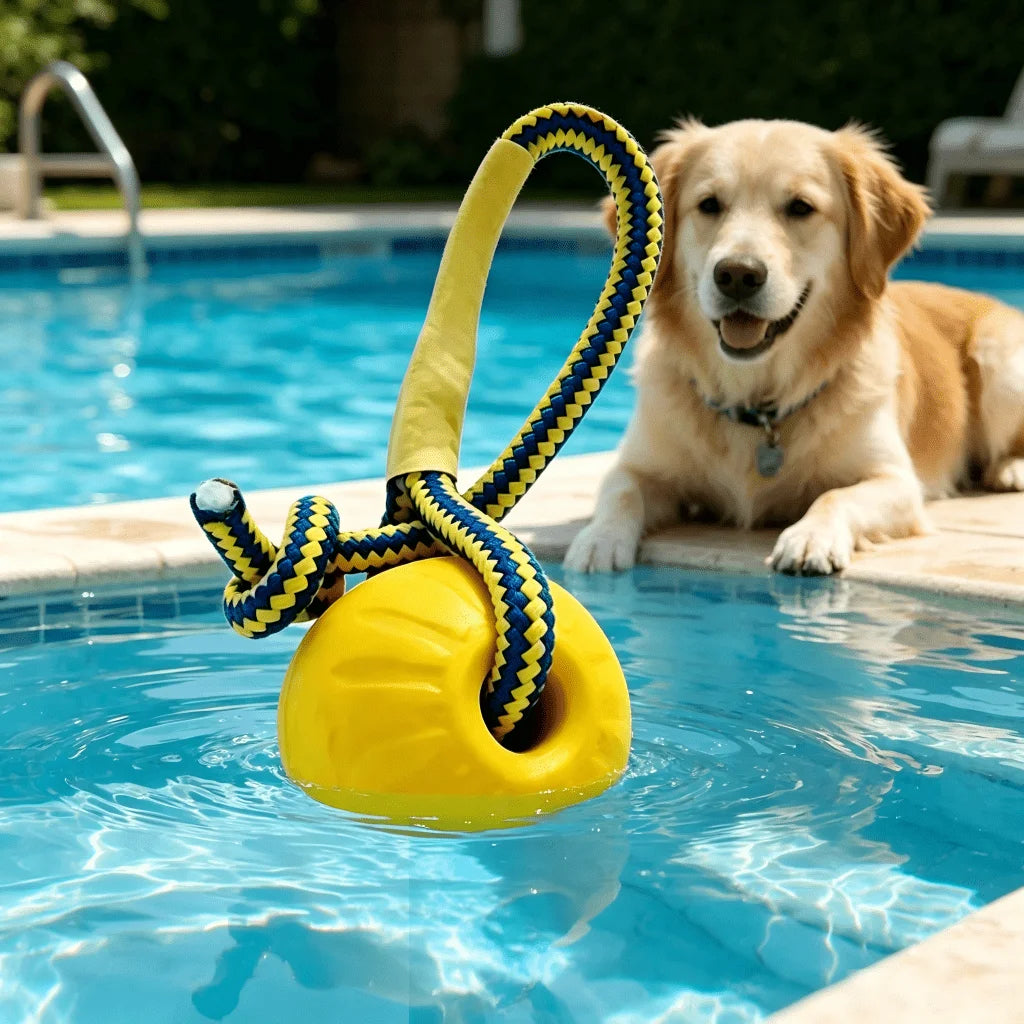 A golden retriever is playing with a yellow and blue floating fetch toy in a swimming pool.