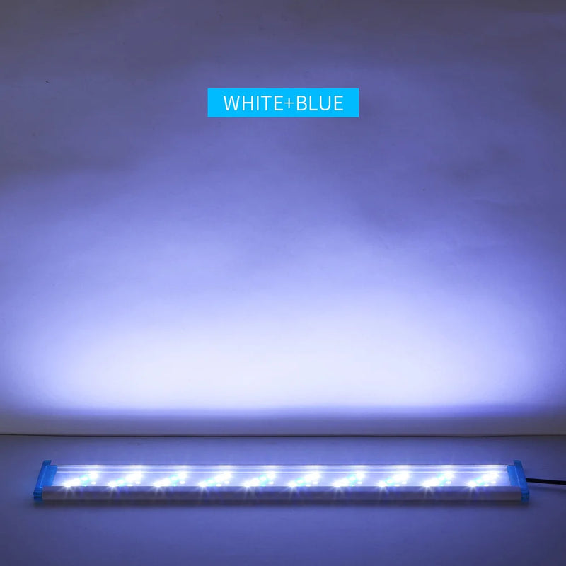 Lumière LED pour Aquarium à Clip Réglable