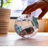 Clear Exercise Ball for Small Pets