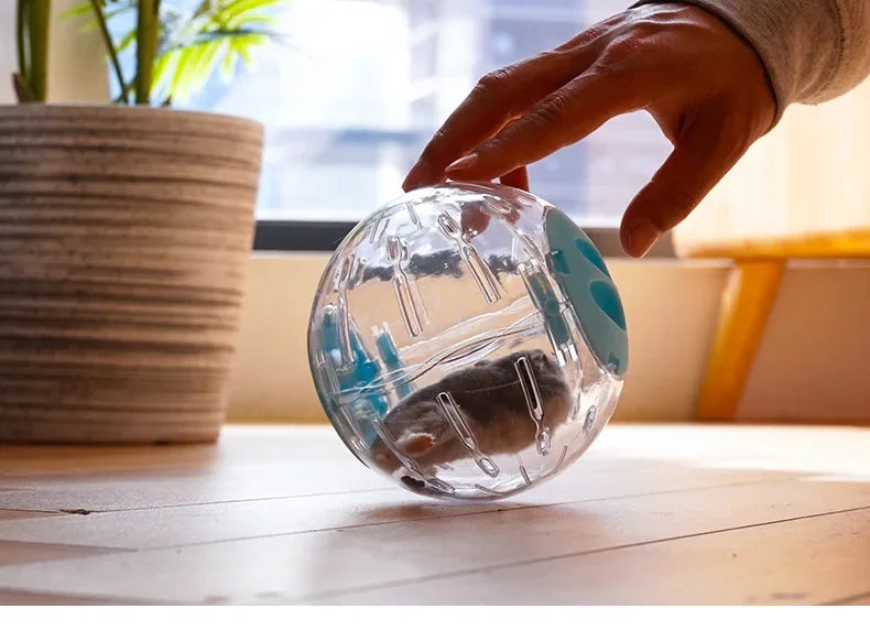 Clear Exercise Ball for Small Pets