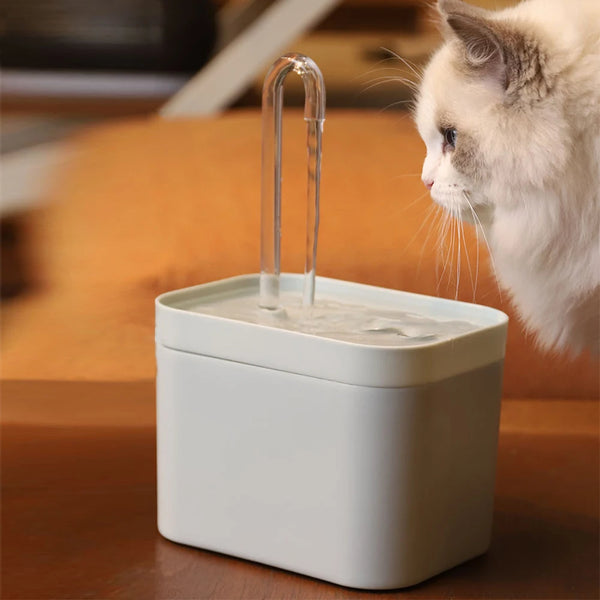 A white pet water fountain with a clear tube is visible, next to a cat looking at the water.