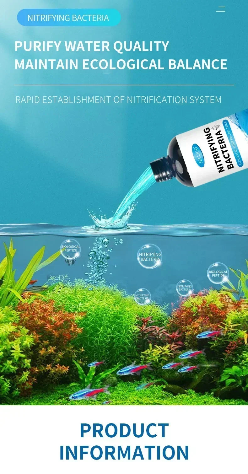 Bactéries nitrifiantes liquides 300ml pour le traitement de l'eau d'aquarium