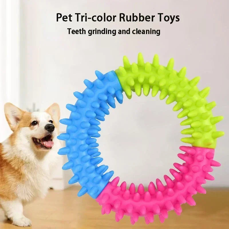 A tri-color rubber ring toy with spiky teeth for dog teeth grinding and cleaning