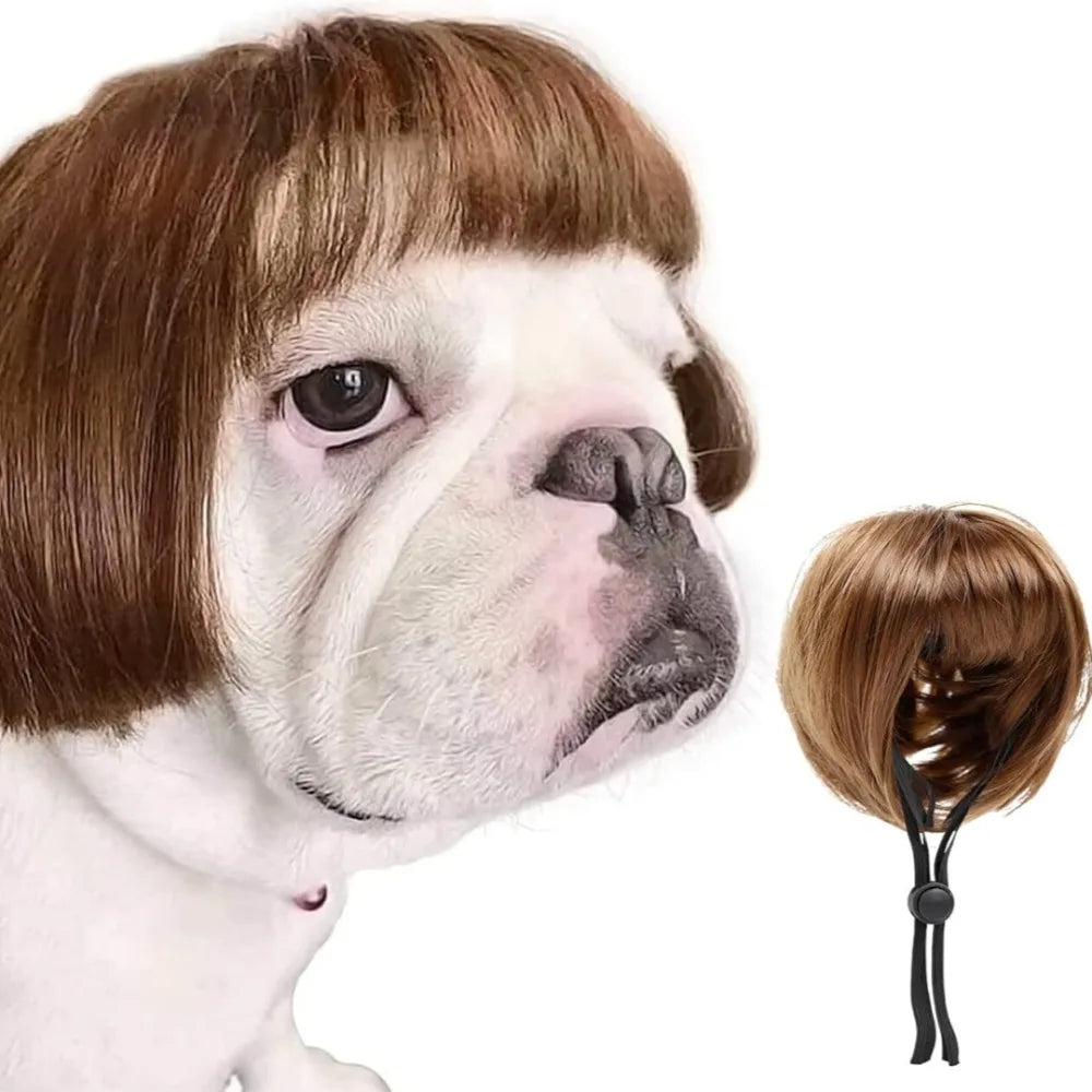 Pet Bob Wig – Funny Cat & Dog Costume Accessory