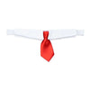 Corbata y Pajarita Formal para Mascotas