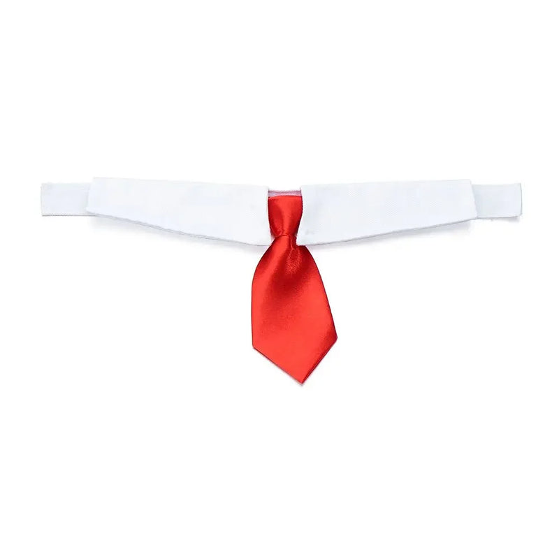 Corbata y Pajarita Formal para Mascotas