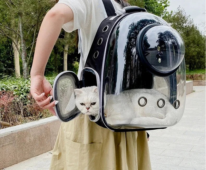 A woman is carrying a transparent pet carrier backpack with a cat inside outdoors.