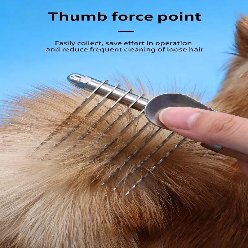 Une main utilise un outil point de pouce pour démêler les poils de la fourrure d'un chien.