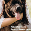 Pet Eye Wipes for Cats and Dogs – Tear Stain Remover Wipes