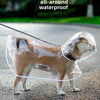 Clear Waterproof Dog Raincoat with Adjustable Hood