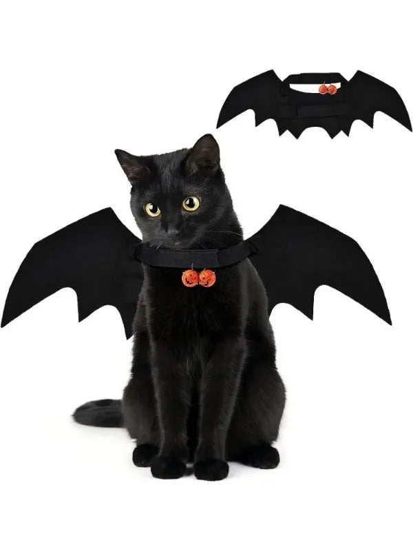 Black cat wearing a Halloween bat wings pet costume with an orange pumpkin bell