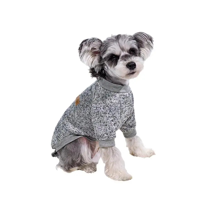 A small, fluffy dog wearing a gray knitted winter jacket.