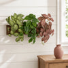 Realistic Artificial Ivy Hanging Plant for Wall Decor