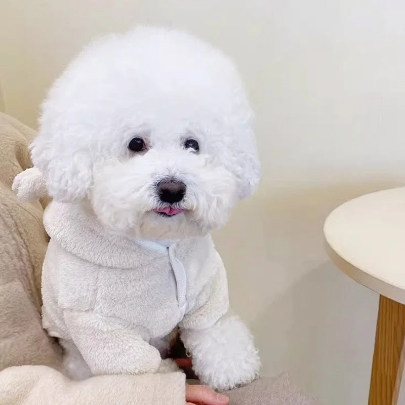 Un chien blanc et duveteux portant un pull en polaire confortable assis sur une surface claire.