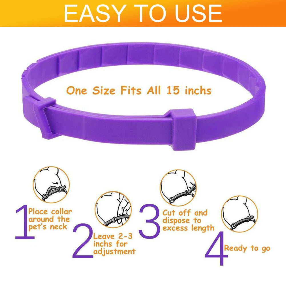 Purple adjustable collar for dogs showing four steps for fitting and use