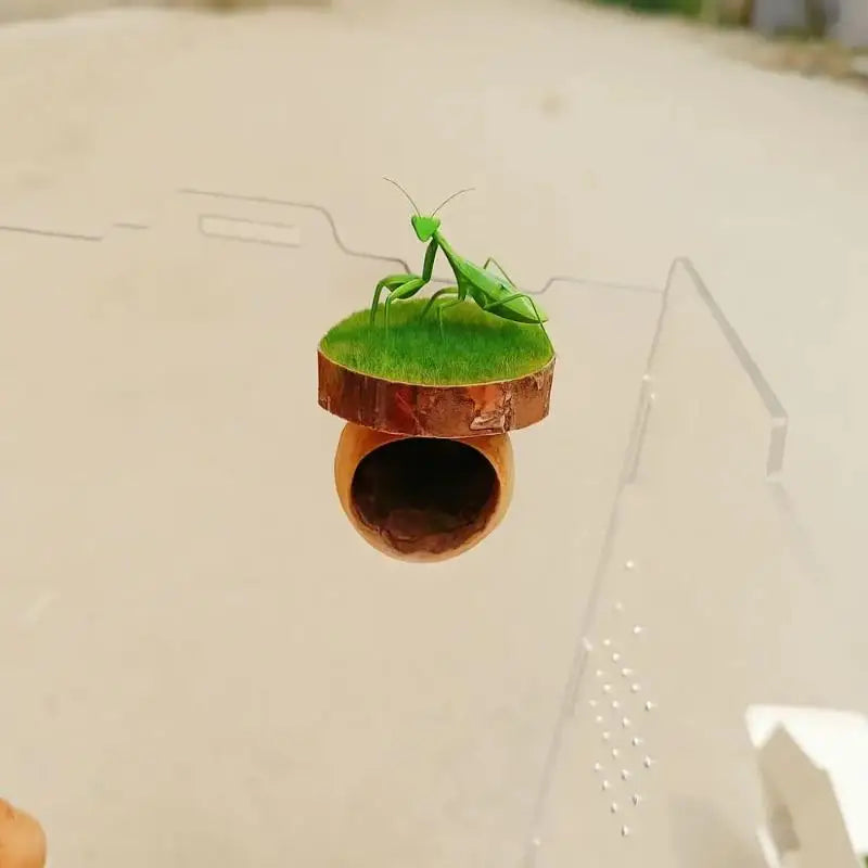 Magnetic Spider Hide Cave for Jumping Spider Enclosures