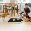 Wooden Dog Nail Scratching Board with Built-in Treat Box