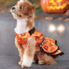 Pumpkin Lace Dog Dress for Small Dogs